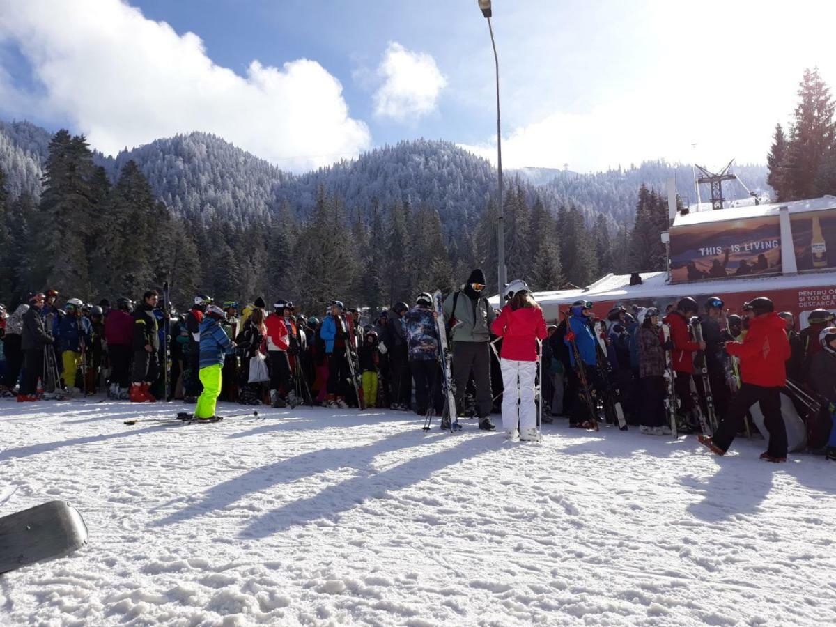 Luxury Mountain Apartment Poiana Brasov Eksteriør billede