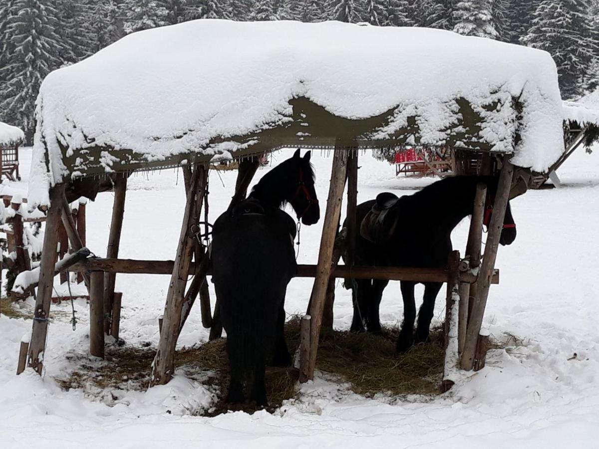 Luxury Mountain Apartment Poiana Brasov Eksteriør billede
