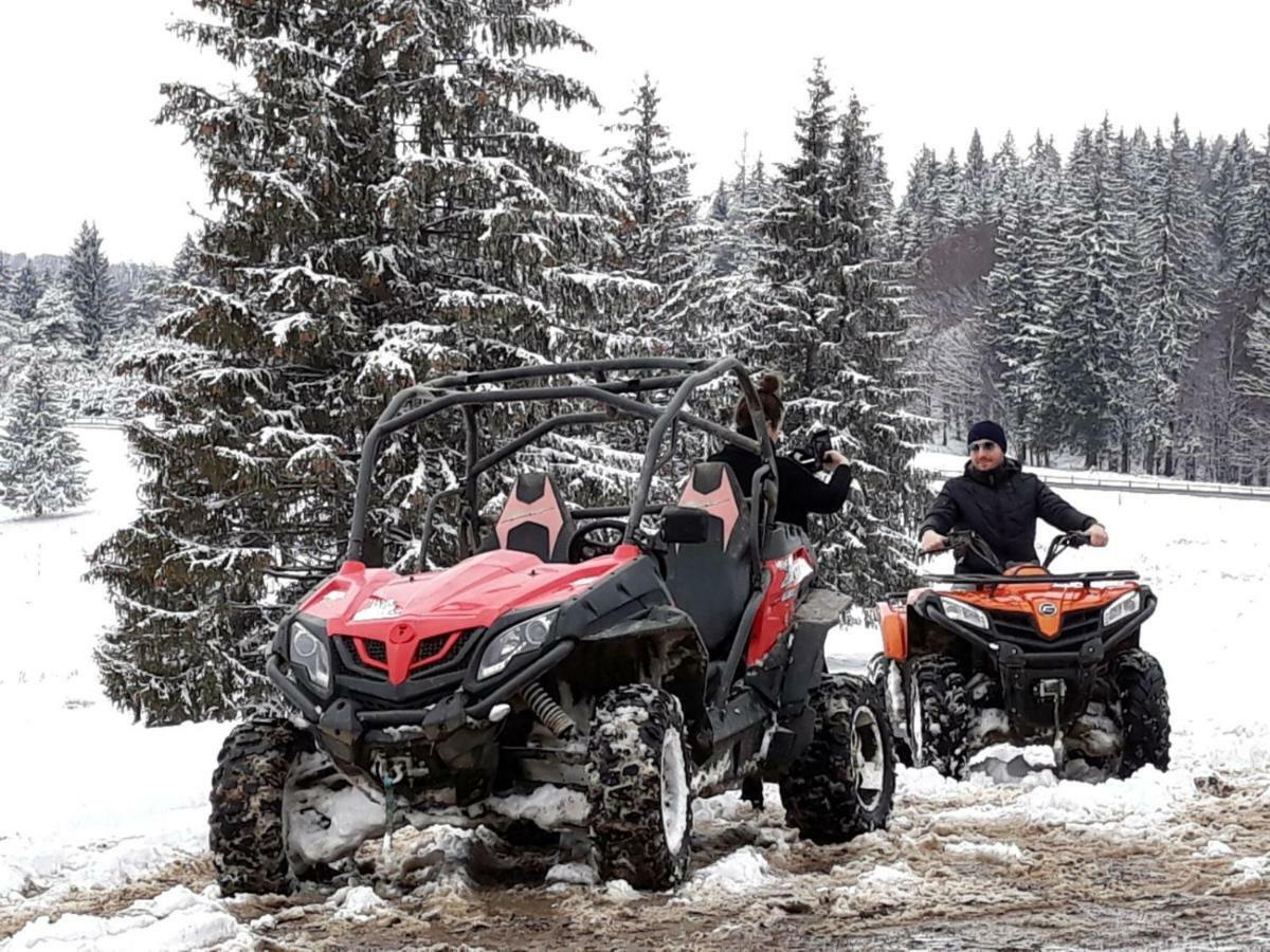 Luxury Mountain Apartment Poiana Brasov Eksteriør billede