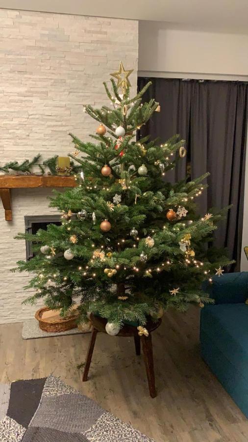 Luxury Mountain Apartment Poiana Brasov Eksteriør billede